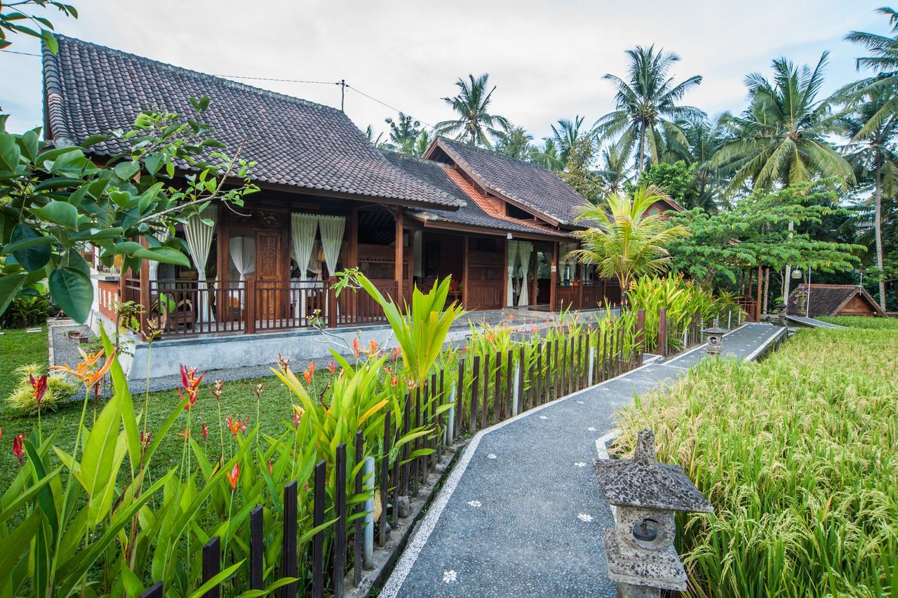 Tirta Padi Villa Ubud Dış mekan fotoğraf
